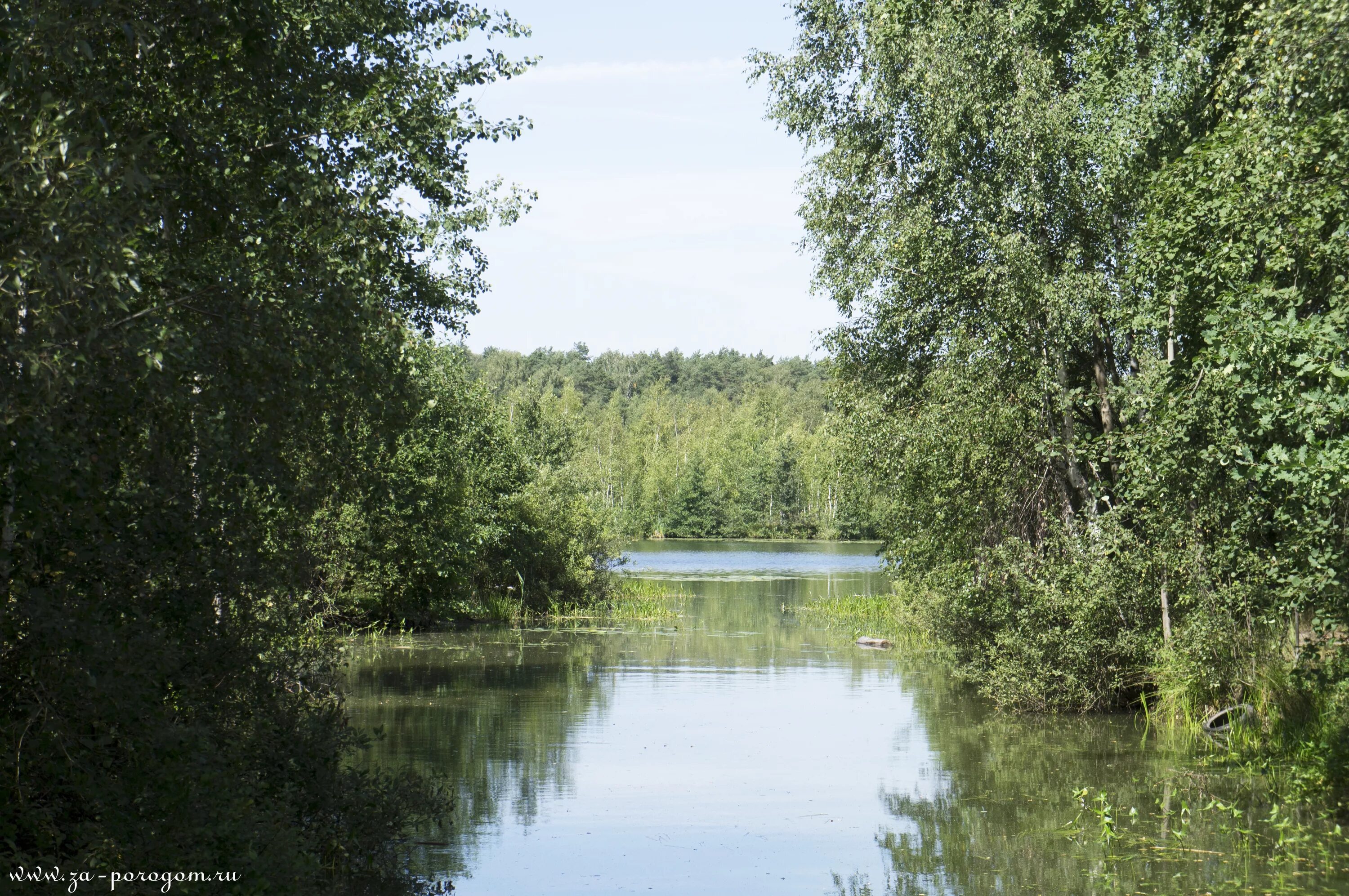 Медвежьи озёра (деревня). Медвежьи озёра (группа озёр). Медвежьи озёра Московская область. Медвежьи озера озеро. Медвежьи озера рыбалка