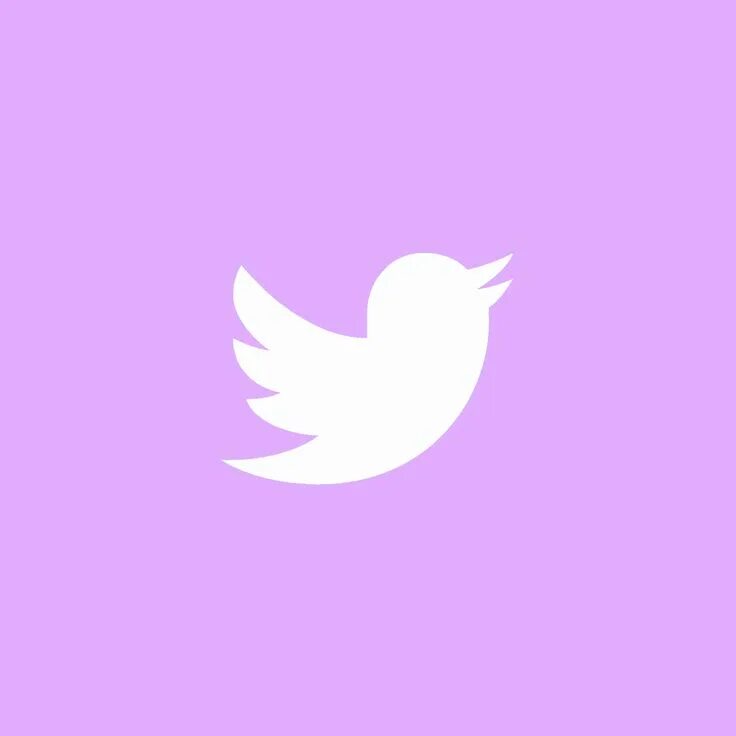 Иконка twitter белая. Твиттер белая птичка. Белым бело твиттер. Значок твиттера на белом фоне. Лого твиттера.