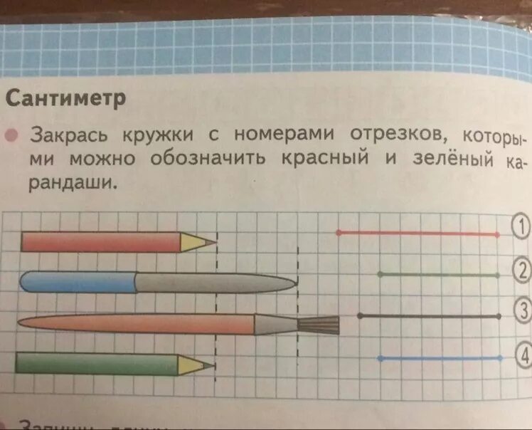 Закрась кружки с номерами отрезков. Закрась кружки. Закрасить кружки с номерами отрезков. Сантиметр закрась кружки с номерами отрезков.