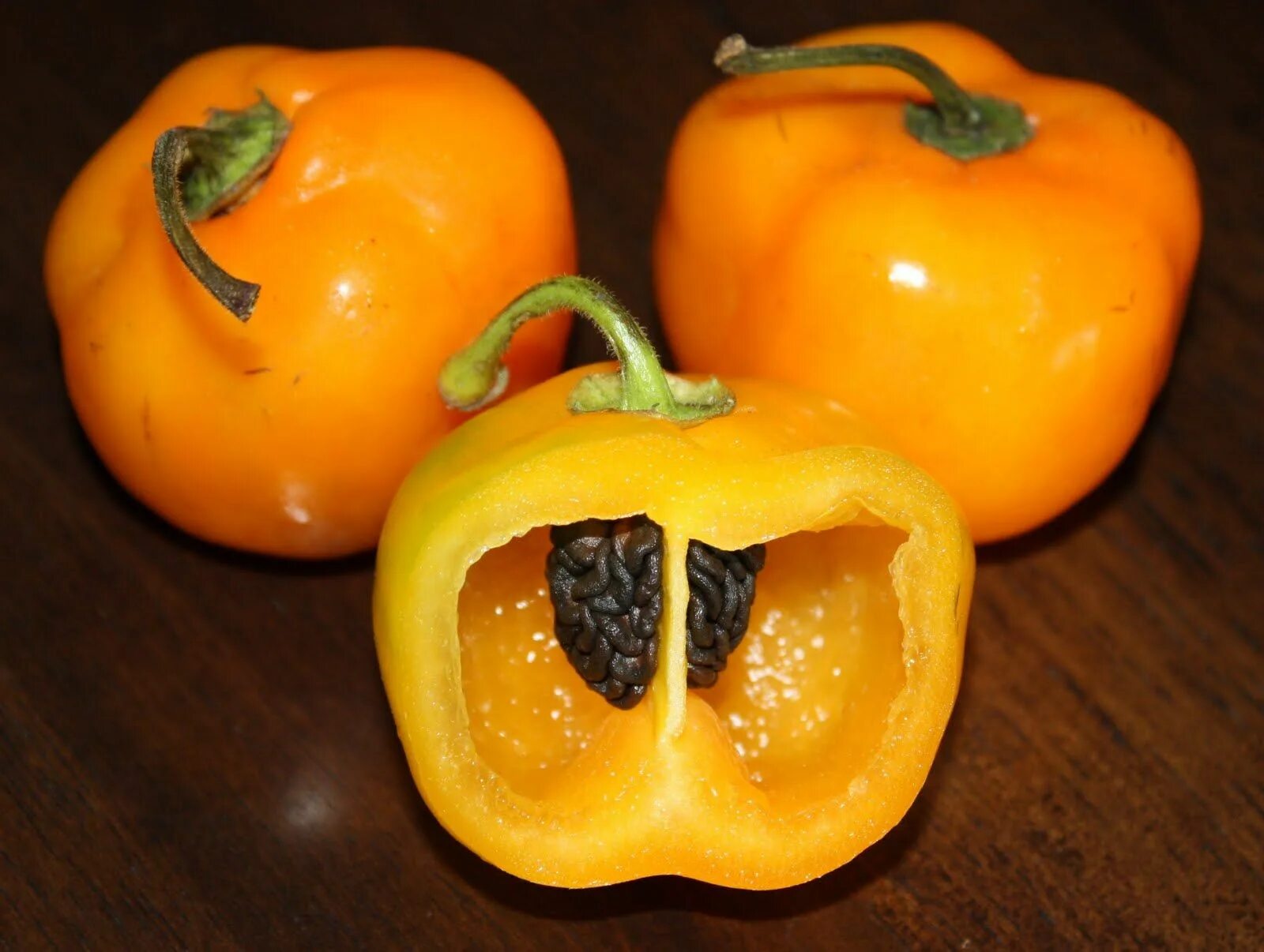 Orange pepper. Rocoto перец. Rocoto Yellow перец. Locoto Orange перец. Rocoto Caramel перец.
