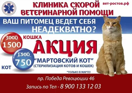 Ветклиника на профсоюзной ростов