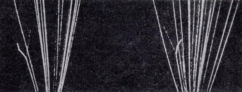 камера вильсона след альфа частицы. камера вильсона протон. треки частиц в камере вильсона. следы частиц в камере вильсона. треки частиц в камере вильсона.