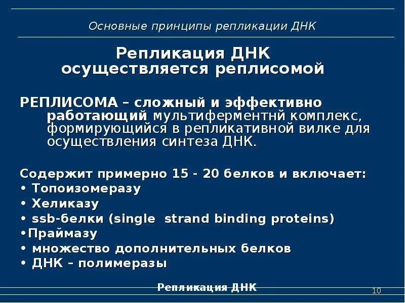 Хеликаза функции