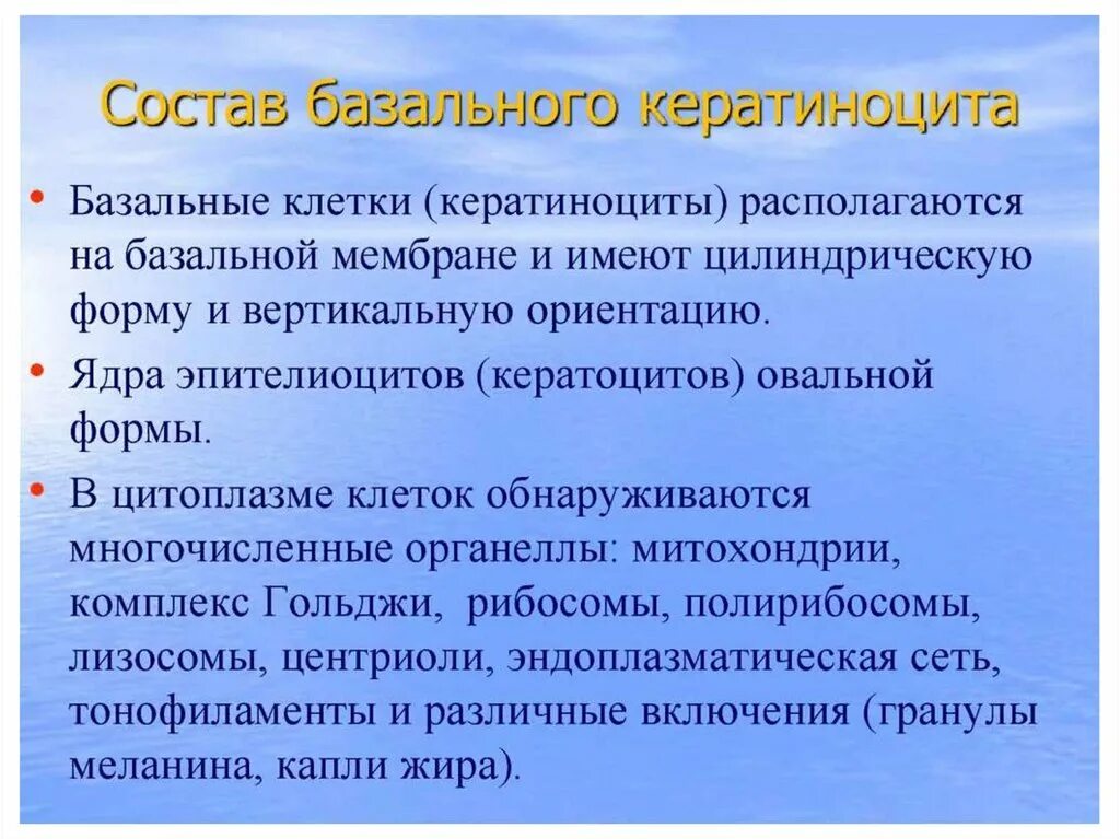 Кератиноцит функции. Кератиноциты кожи функция. функции кератиноцитов. защитную роль кератиноцитов. функции кератиноцитов кожи.