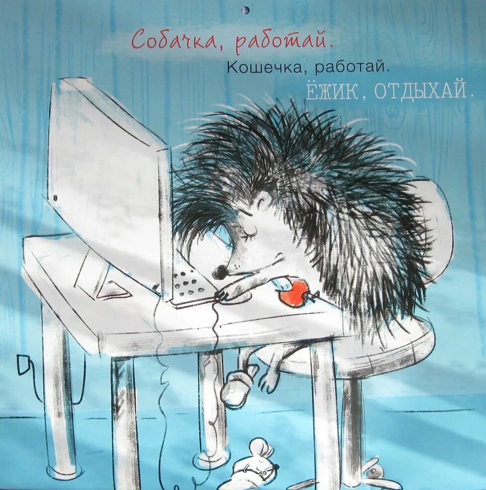 Когда вышел альбом скучаю но работаю. Скучающий Ежик. Открытки с Ёжиками прикольные. Еж выздоравливай. Ежик на работе.