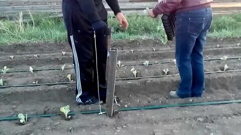 Посадка устройств