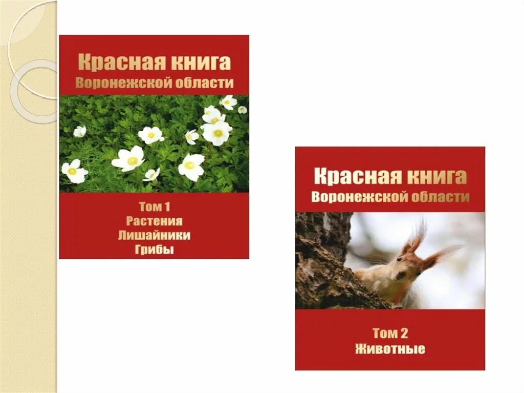 воронежский край красная книга. редкие растения воронежской области занесенные в красную книгу. воронежский край красная книга. воронежский край красная книга. цветы красной книги воронежской области.
