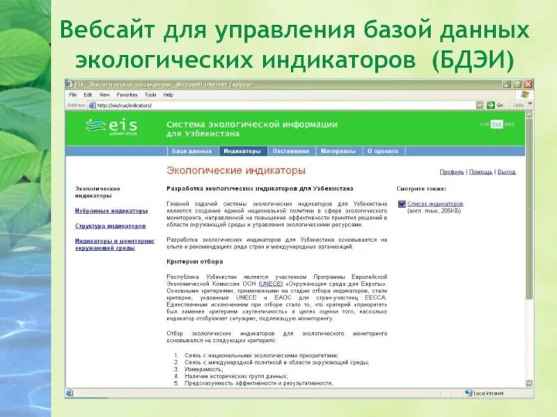 База экологии. Базы экологических данных. Базы данных по экологии. Базы данных в экологии. Пример базы экологических данных.