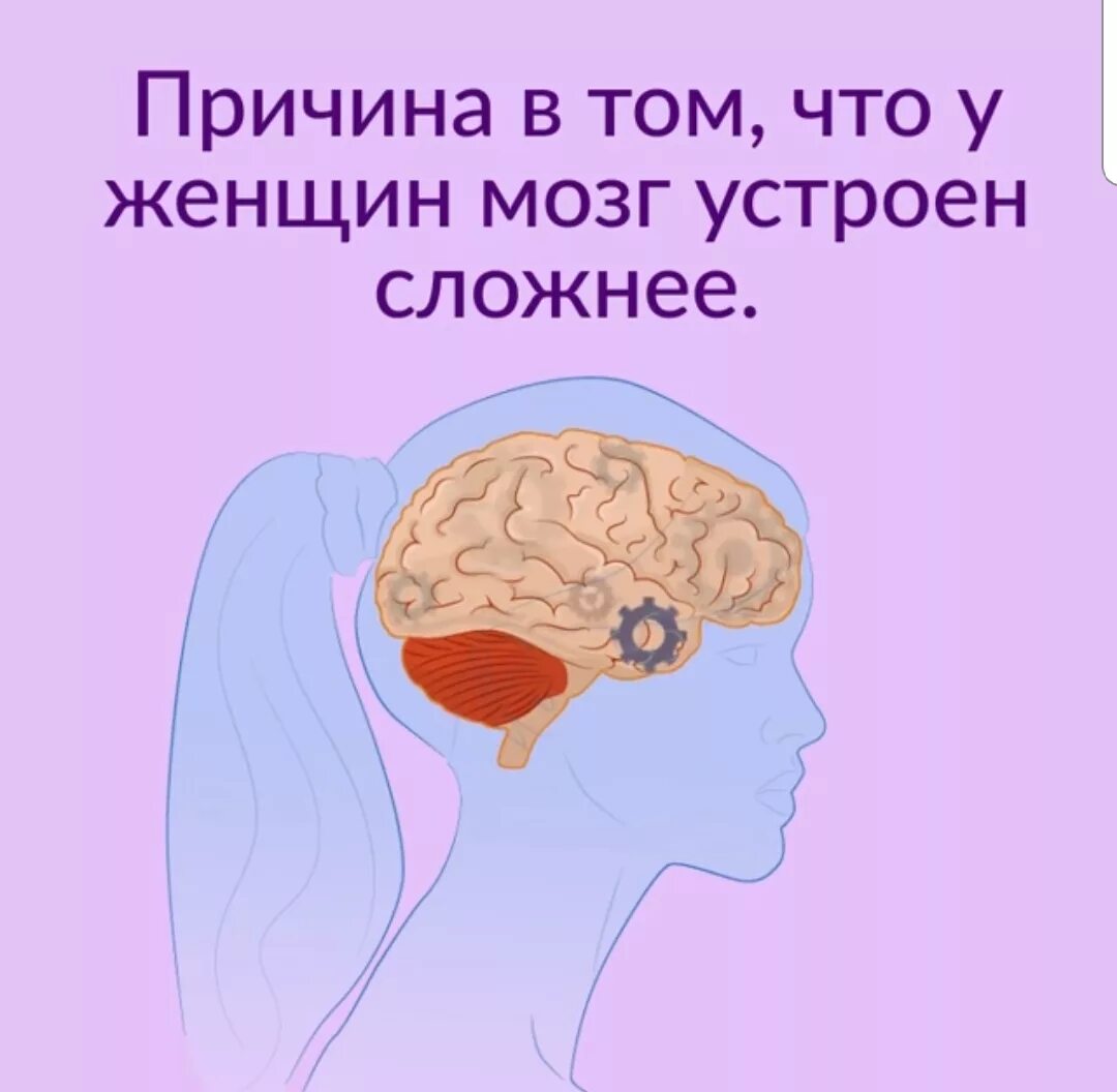 Мужской и женский мозг. Мозг женщины. Женщина с мозгами. Женский мозг устроен сложнее.