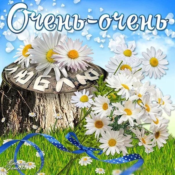 Милый букет ромашек. Любимой девочке ромашки. Любимые ромашки. Любимой девочке ромашки. Синие ромашки букет.