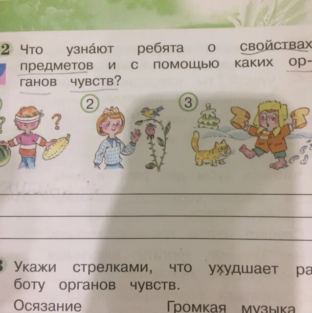 С помощью какого предмета. Ребята это предмет. отдельное свойство объекта окружающего мира вызывает у нас. окружающий мир составь таблицу предмет свойства орган чувств. какие свойства воздуха ты определил с помощью органов чувств.