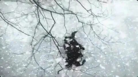 По снегу летящему с неба