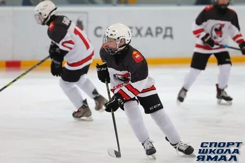 Сигнал 2010