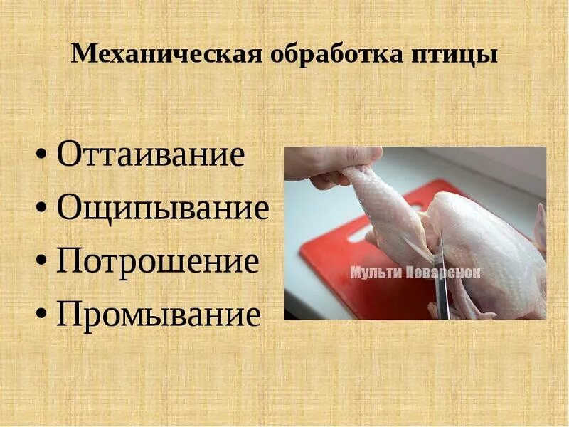 Механическая обработка птицы. Технология обработка птиц. Технология обработка птиц. Схема обработки пернатой дичи. Технология обработка птиц.