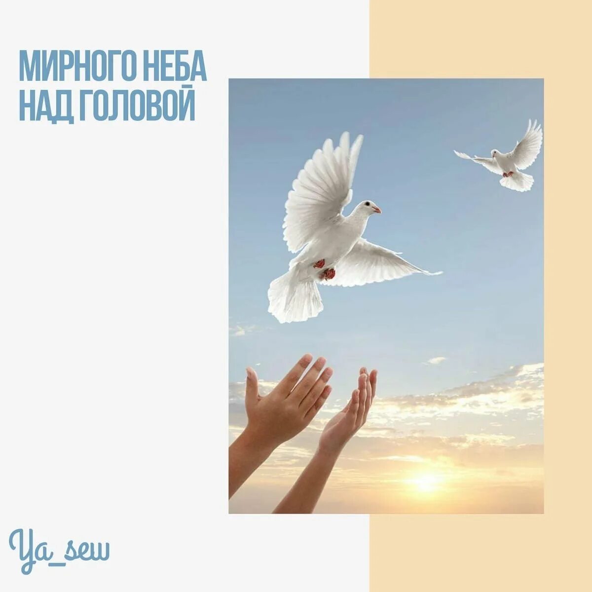 Мирного неба в 2025