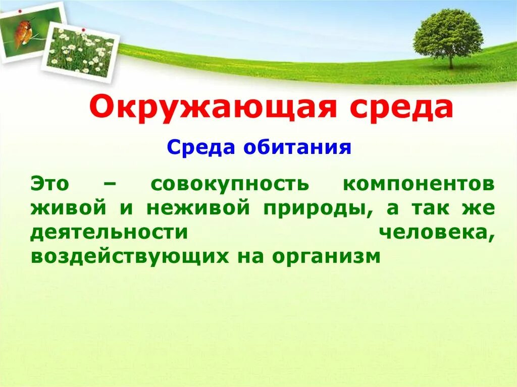 Совокупность факторов живой и неживой природы называют. Экология среды обитания. Окружающая среда и среда обитания. Среда обитания человека экология. Экология факторы среды обитания.