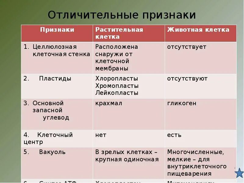 Признаки сравнения растений. Запасной углевод растительной клетки. Запасной углевод в растительной и животной клетки. Запасной углевод растений и животных клеток. Основной запасной углевод растительной клетки.