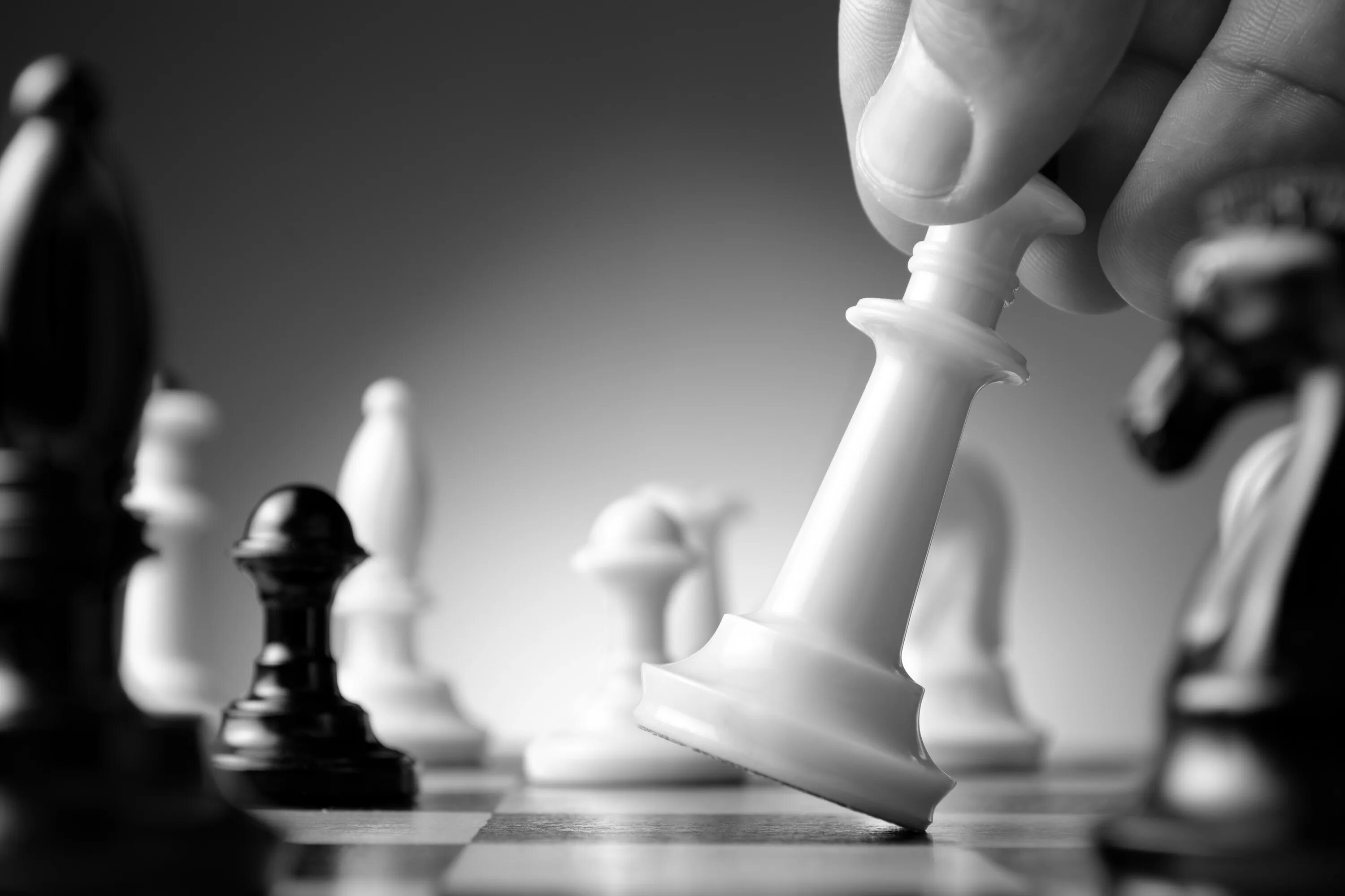 White chess
