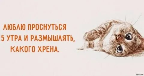 Есть в 5 утра