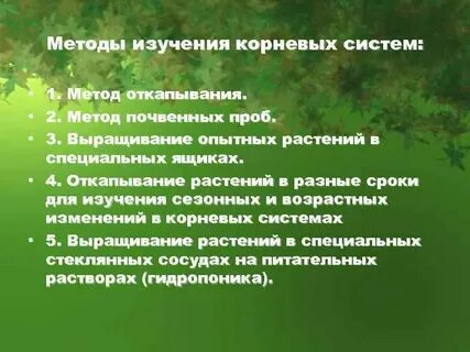 Изучение корневых систем