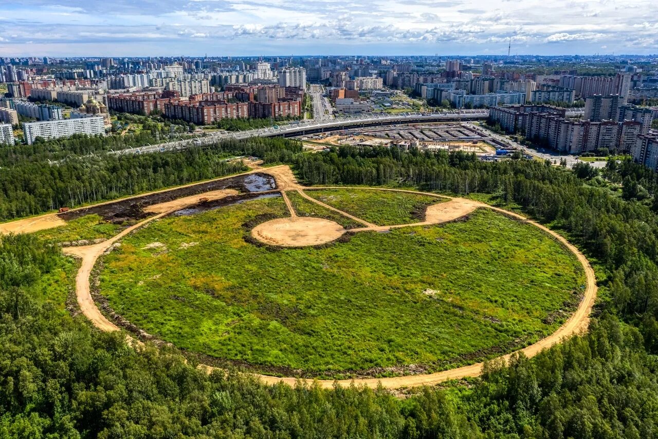 Участок в приморском районе спб. Санкт-Петербург парк Юнтоловский заказник. Эко парк Юнтоловский заказник. Санкт-Петербург Приморский район Юнтоловский заказник. Юнтолово лесопарк.