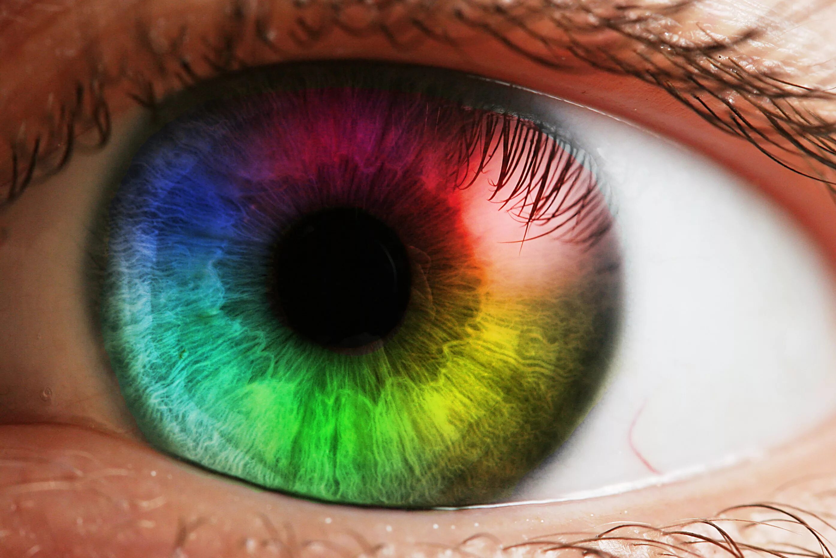 Глаза человека меняют цвет. Человеческий глаз. Красивые глаза. Красивые Радужки глаз. Радужная оболочка глаза.