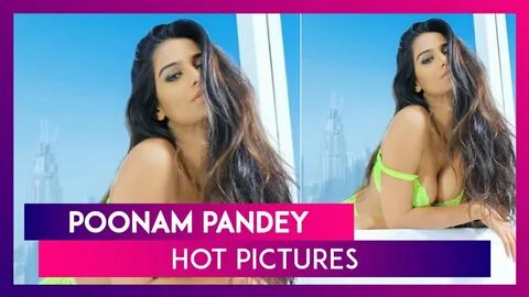 Poonam Pandey, Poonam Pandey Hot, Poonam Pandey hot and sexy, Poonam ...