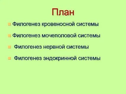 Филогенез систем животных