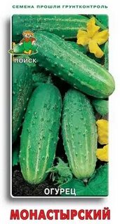 Огурцы сорт монастырский