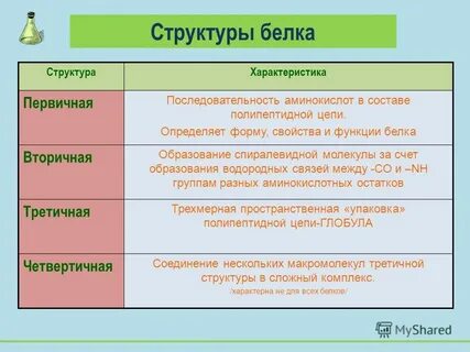 Свойства и роль белков
