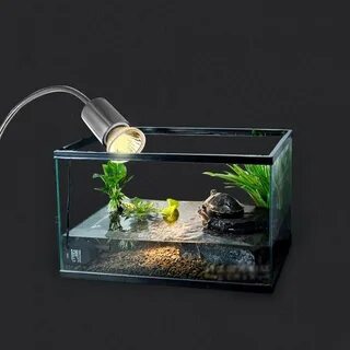 Уф лампа для красноухих