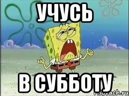 Когда учатся в субботу в апреле. Суббота мем. кто учится в субботу. зачем учиться в субботу. мемы про субботу.