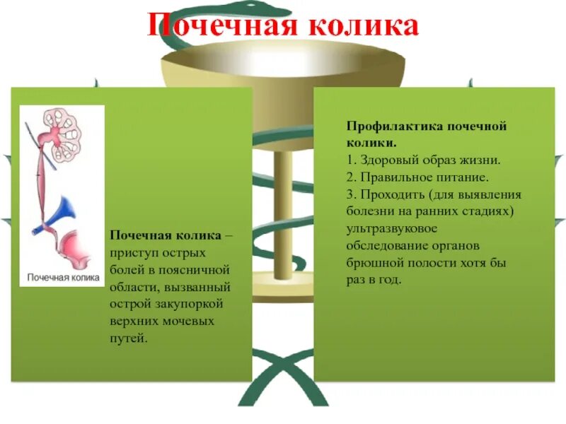 Профилактика почечной колики. Профилактика при почечной колике. Памятка профилактика заболеваемости почек. Почечная колика брошюра.