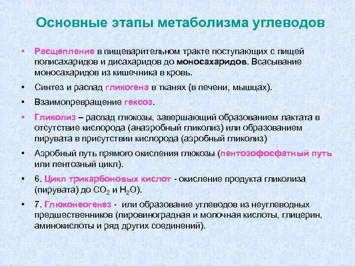Расщепление белков пепсином расщепление углеводов. Этапы обмена углеводов. этапы метаболизма углеводов. этапы обмена веществ углеводы. основные этапы метаболизма.