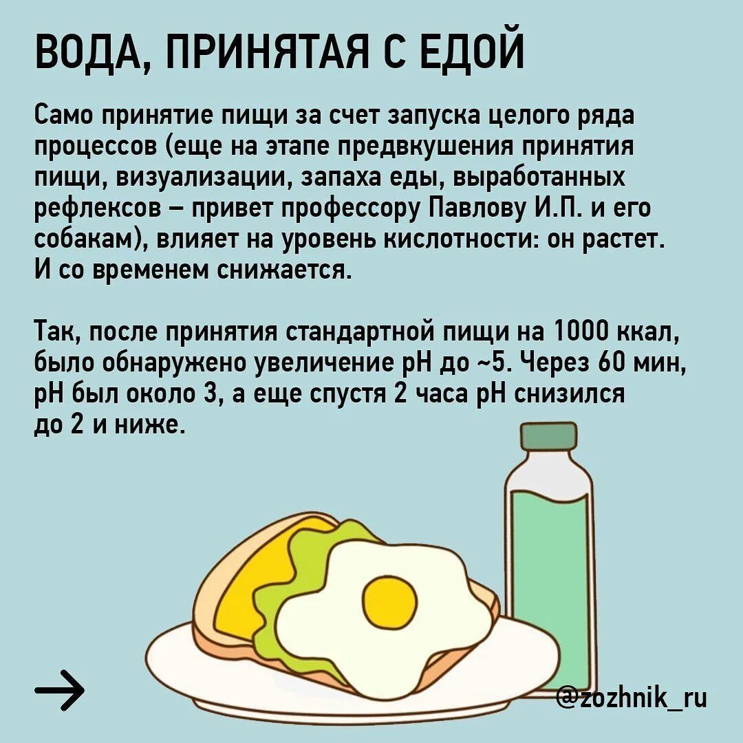 Что нужно говорить после еды. Можно ли запивать еду. Почему нельзя запивать еду. Можно ли запивать пищу водой. Можно запивать еду водой.