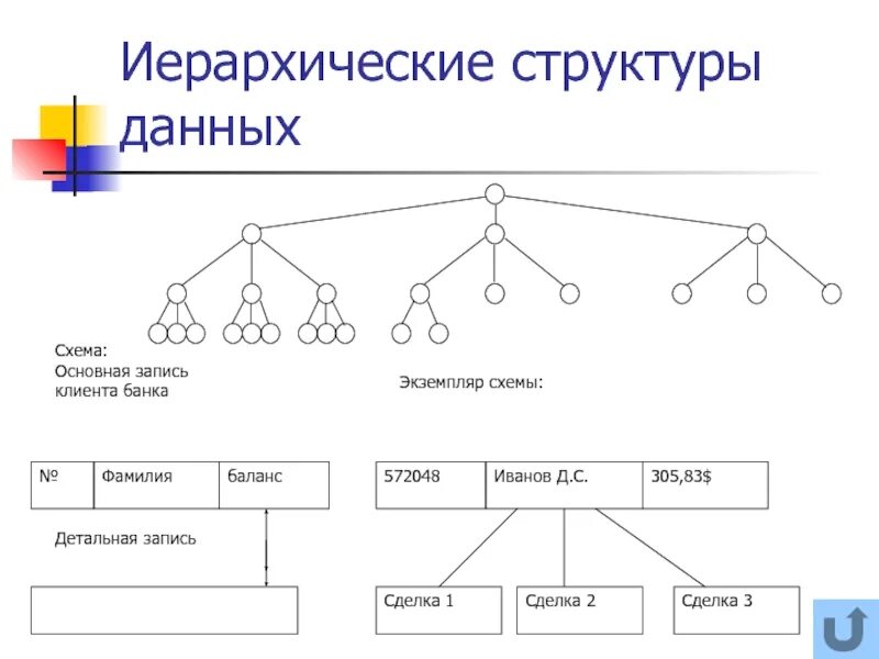Модель иерархической структуры. Иерархическая структура. Иерархия схема. Иерархическая структура данных. Иерархическая модель данных схема.