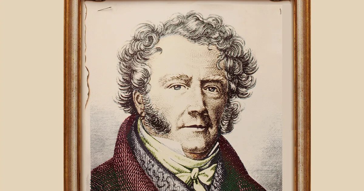 Франсуа видок. Эжен франсуа видок биография. Жан франсуа видок. Франсуа видок. Франсуа эжен робо.