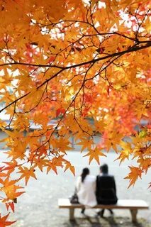 Годы как осенние листья