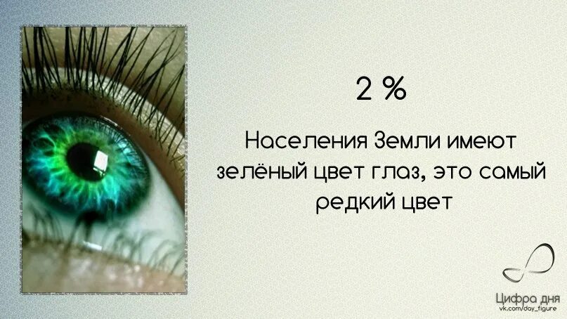 Стихи про зеленые глаза. Цитаты про зеленые глаза. Высказывания про глаза. День зеленых глаз. Красивые фразы глаза