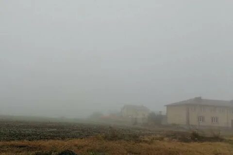 Внезапно деревню окутал густой туман