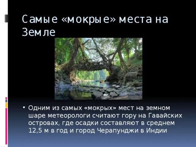 Самые влажные территории на земле. Самое влажное место на земле. Самывлажные места на земле. Самое влажное место на планете земля. Самое влажное место в России.