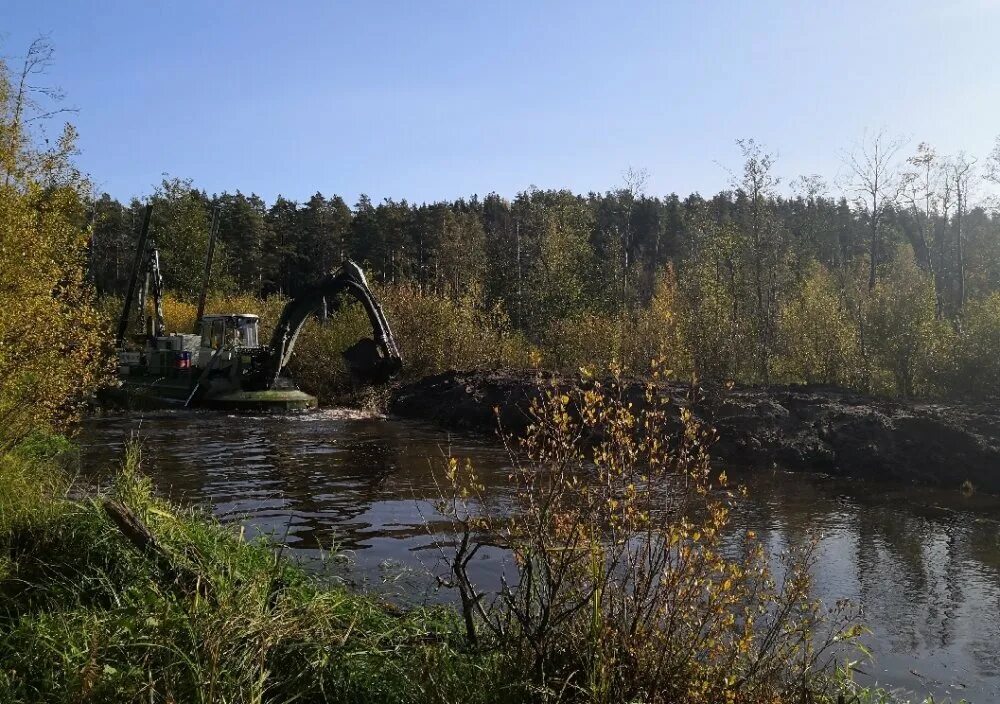 Поселок Ильичево Выборгский район. Озеро Ильичево Ленинградская область. Озеро протяженное Выборгский район. Ториковское озеро Ленинградская область. Захват озера