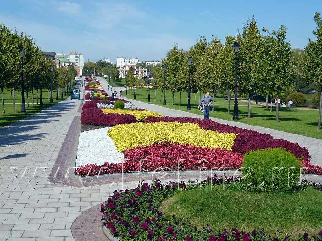 Кинотеатр царицыно. Парк Царицыно цветники. Царицыно в Москве цветы. Красивые цветы в Царицыно. Первые цветы в Царицыно.