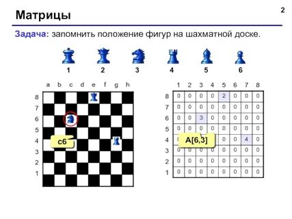 Положение на шахматной доске
