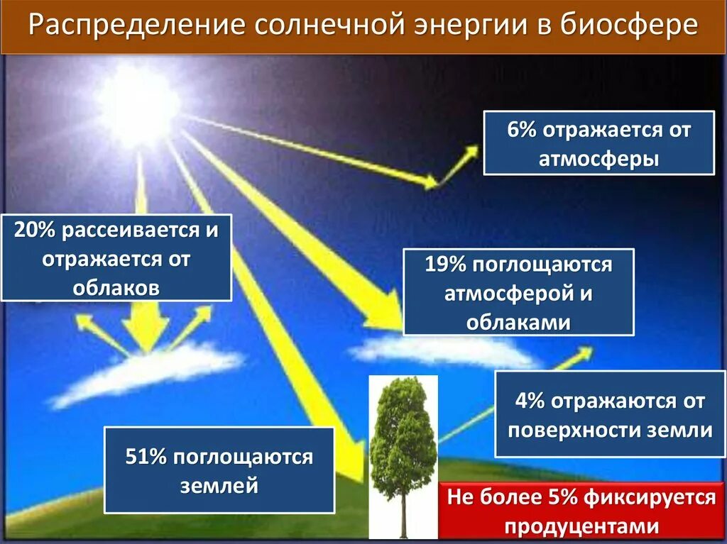 За сколько секунд солнечный свет достигает земли. Распределение солнечной энергии. Распределение солнечной энергии в биосфере. Распределение солнечной энергии на земле. Энергетика биосферы.