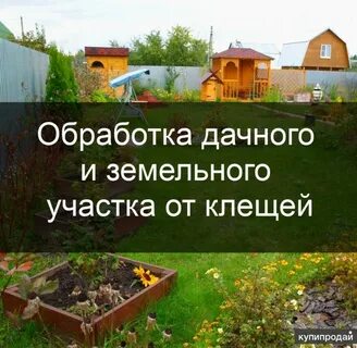 Обрабатываемый участок земли