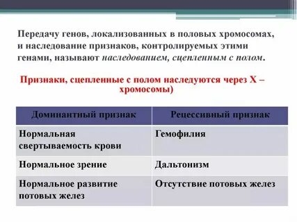 Признак детерминируемый геном