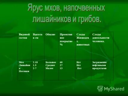 Сравнительная характеристика водорослей и мхов
