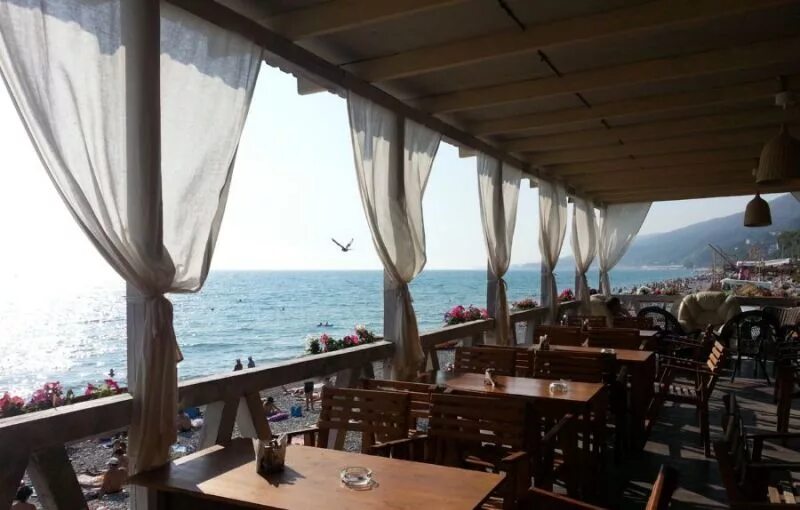 чёрное море лазаревское гостиница. кафе ботаника лазаревское. лазаревское кафе кран скульптура. кафе елец. кафе в лазаревском.