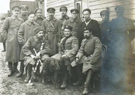 Найди 1919